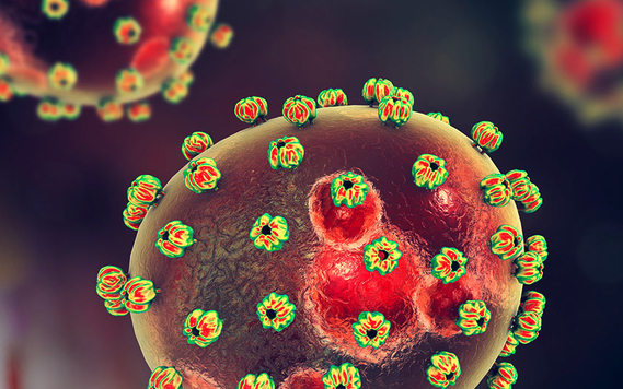 Graphic shows Lassa Fever virus